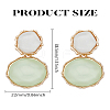 1 Pair Resin Dangle Stud Earrings EJEW-LP0004-82B-2