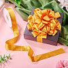 1 Roll Imitation Leather Polyester Ribbon LC-TA0001-02G-6