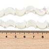 Natural White Shell Beads Strands SSHEL-10X12-3