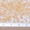 MIYUKI Round Rocailles Beads SEED-X0054-RR0202-4