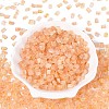 Transparent Spray Painted Glass Seed Beads SEED-L011-10A-14-2