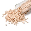 TOHO 8/0 Round Beads SEED-TR08-0763-1