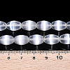 Dyed Natural Selenite Beads Strands G-T138-233A-4