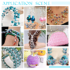 DIY Beads Kit DIY-PH0021-98C-3