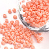 Baking Paint Glass Seed Beads SEED-Q025-3mm-L12-1