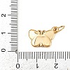 304 Stainless Steel Charms STAS-K307-07C-G-3