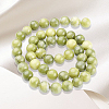 46Pcs Natural Taiwan Jade Beads G-SC0003-59-6