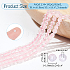  2 Strands Natural Rose Quartz Beads Strands G-NB0005-03-3