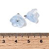 Glass Charms GLAA-G127-03A-3