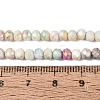 Ombre Effect Dyed Glass Beads Strands GLAA-C023-02-C21-4