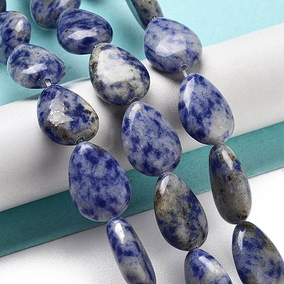 Natural Blue Spot Jasper Beads Strands G-P528-L17-01-1