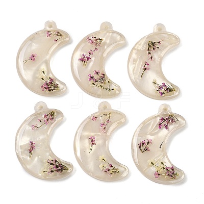 Epoxy Resin Pendants RESI-S09-01B-RS-1