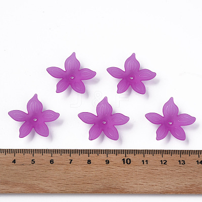 Transparent Acrylic Beads MACR-S373-127-D07-1