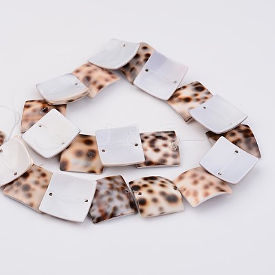 Natural Shell Bead Strands BSHE-P021-22-20mm-1