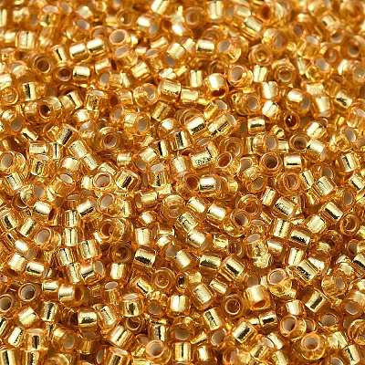 Glass Seed Beads SEED-S042-04B-12-1