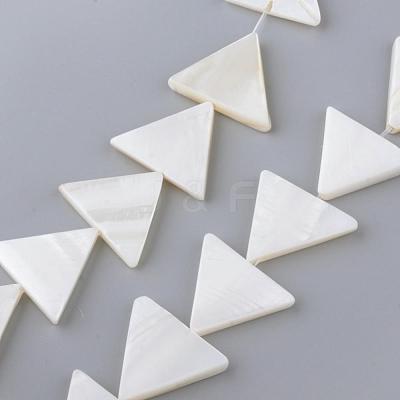 Natural Freshwater Shell Beads Strands SHEL-Q008-40-1
