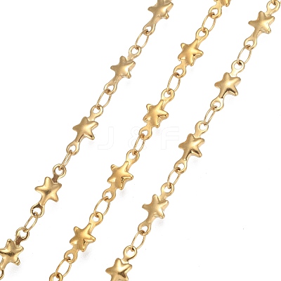 304 Stainless Steel Link Chains STAS-P219-74G-1