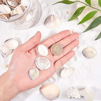 Clam Shell Beads SSHEL-NB0001-11-1