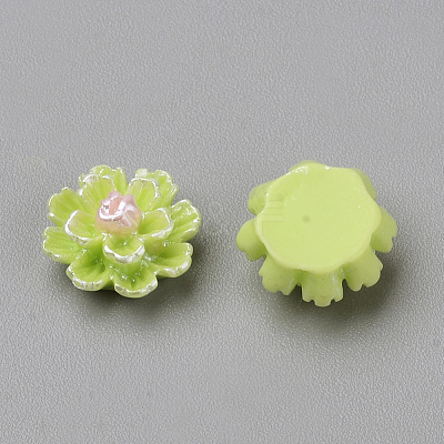 Imitation Pearl Resin Cabochons CRES-S301-24-1