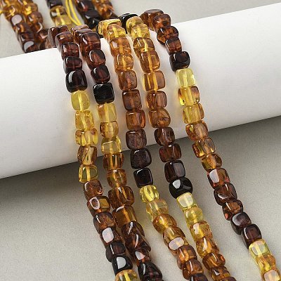 Natural Amber Beads Strands G-L095-E01-02-1