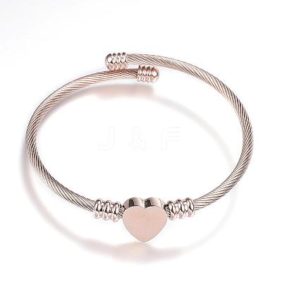 316 Surgical Stainless Steel Torque Bangles BJEW-D437-A37-RG-1