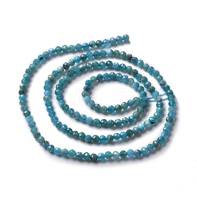 Natural Apatite Beads Strands X-G-E411-36-2mm-01-1