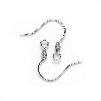 Tarnish Resistant 304 Stainless Steel Earring Hooks STAS-S111-011-1