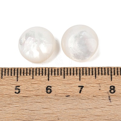 Natural White Shell Beads SSHEL-B006-03-1
