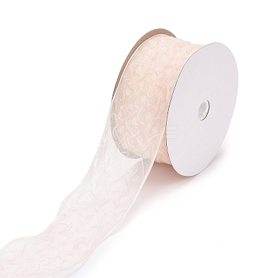 20 Yards Polyester Mesh Ribbon SRIB-P021-E05-1