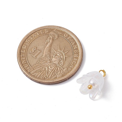Acrylic Flower Charms PALLOY-JF02544-1