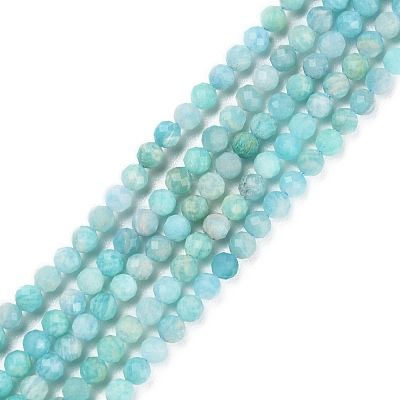 Natural Amazonite Beads Strands G-P500-01B-01-1