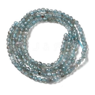 Natural Apatite Beads Strands G-C137-A01-01-1