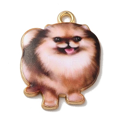 Alloy Pendants PALLOY-E028-01LG-03-1