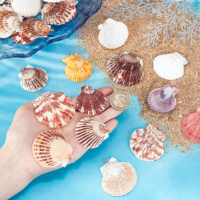 32Pcs 4 Style Natural Shell Pendant PALLOY-PH01861-1