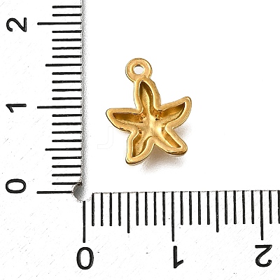 304 Stainless Steel Charms STAS-C119-24D-G-1