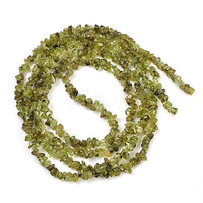 Natural Peridot Beads Strands G-P332-48-02-1