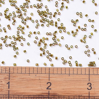 MIYUKI Delica Beads SEED-J020-DB0604-1