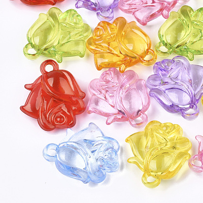 Transparent Acrylic Pendants TACR-S133-081-1