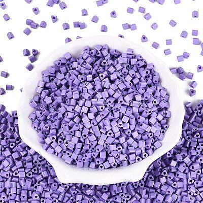 FGB Baking Paint Glass Seed Beads SEED-Q040-09A-16-1