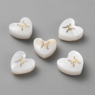 5Pcs Natural White Shell Beads BSHE-TAC0004-02D-1