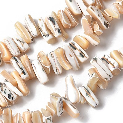Dyed Natural Trochus Shell Beads Strands X-SSHEL-C013-09K-1