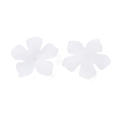Transparent Acrylic Beads MACR-S373-119-D01-1