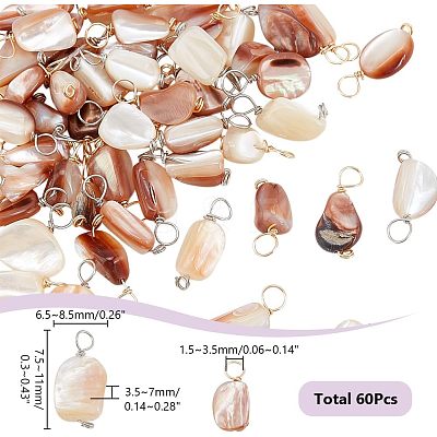 60Pcs 2 Colors Natural Seashell Nuggets Charms FIND-AR0005-68-1