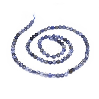 Natural Iolite Beads Strands G-I249-A04-1