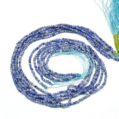 Natural Sodalite Beads Strands X-G-J002-09-1