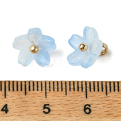 Alloy Acrylic Pendants TACR-P016-01G-15-1