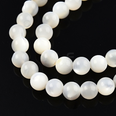 Natural White Shell Bead Strands SSHEL-N003-144D-01-1