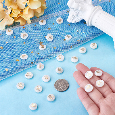 24Pcs 12 Styles Natural Freshwater Shell Beads SHEL-TA0001-42-1