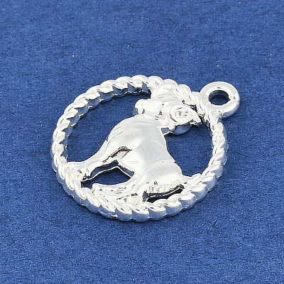 Twelve Constellations Alloy Pendants PALLOY-Q006-01H-S-1