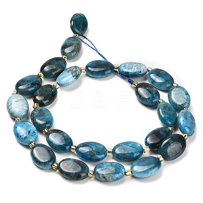 Natural Apatite Beads Strands G-H005-A03-02-1